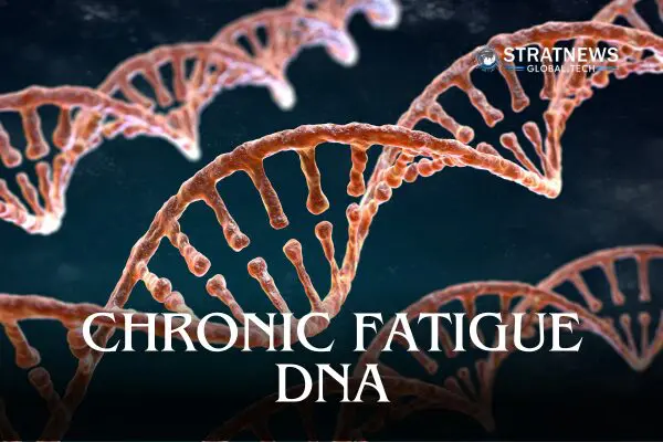 DNA