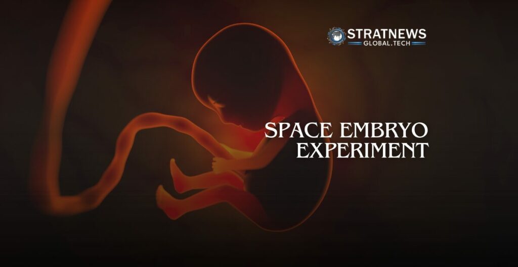 space embryo experiment