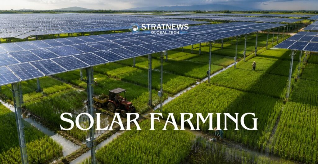 Bangladesh agrivoltaics